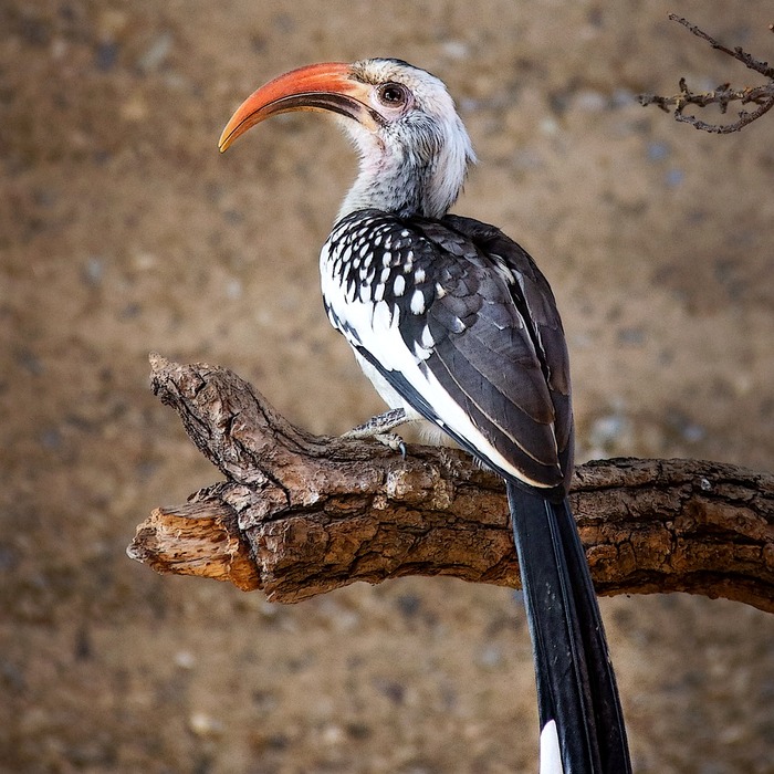 보험 청구 서류