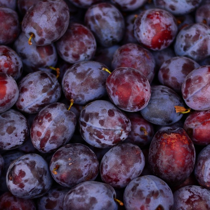 농산물 품질관리사