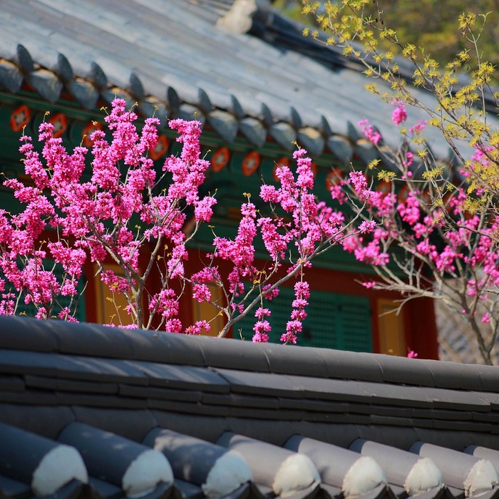 한국전쟁 전시물
