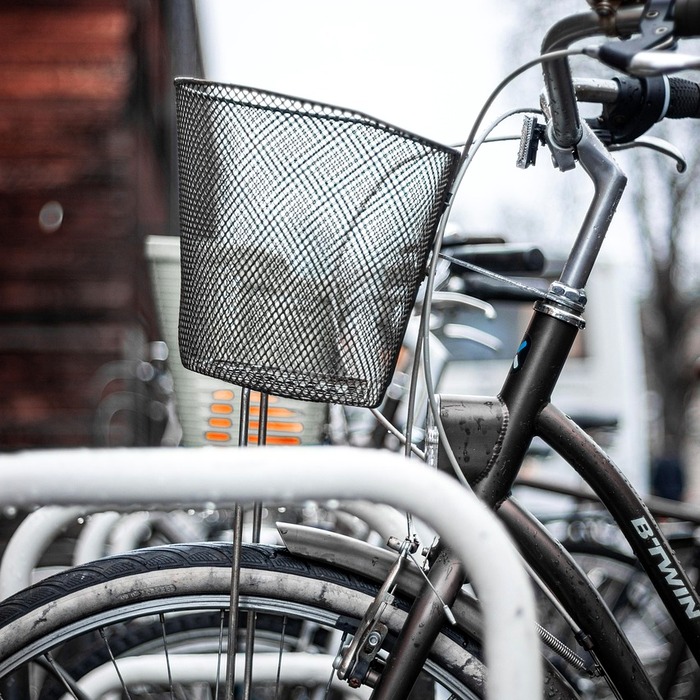 농촌 체험 활동