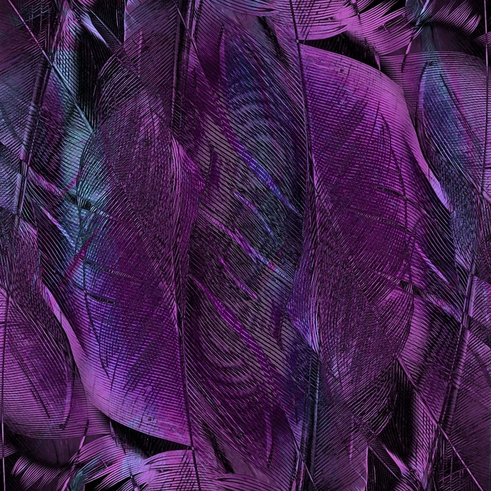 고용 형태 비교