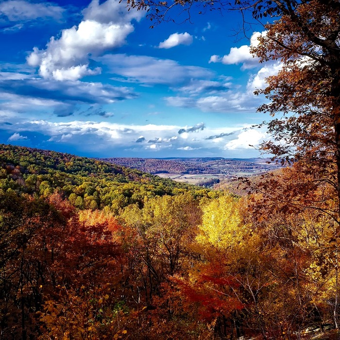 카톡 읽지 않기