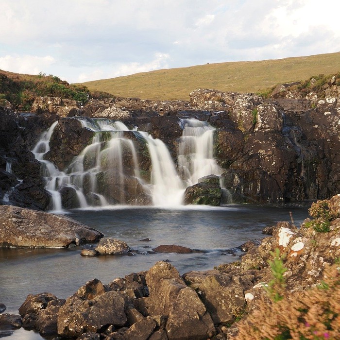 갑상선 기능 이상