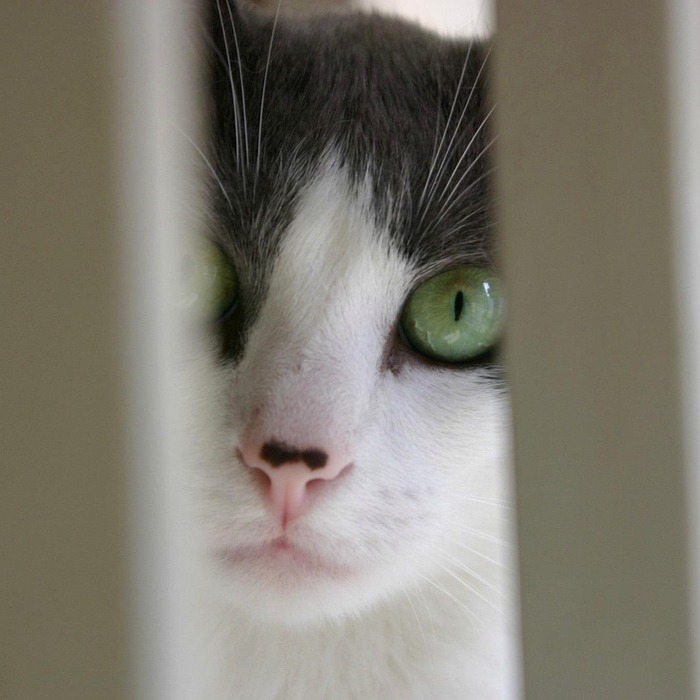 계리직 공무원 직무