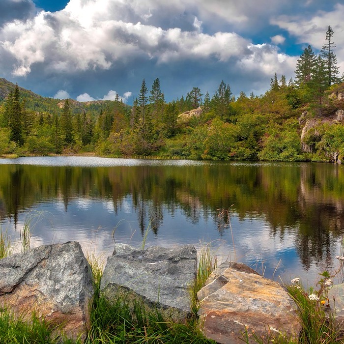 데이터베이스 시험