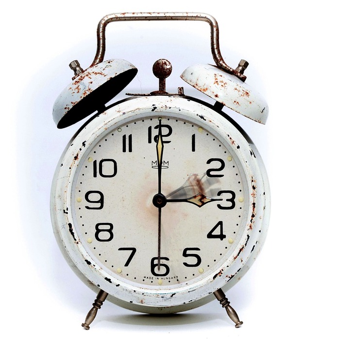 유산균 섭취 시간