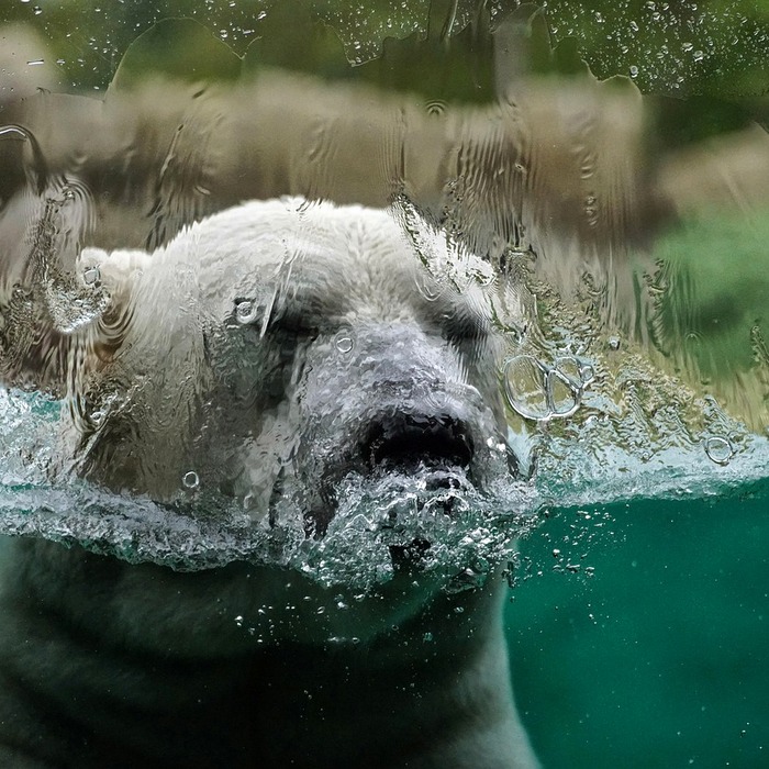 소득 기준 변화