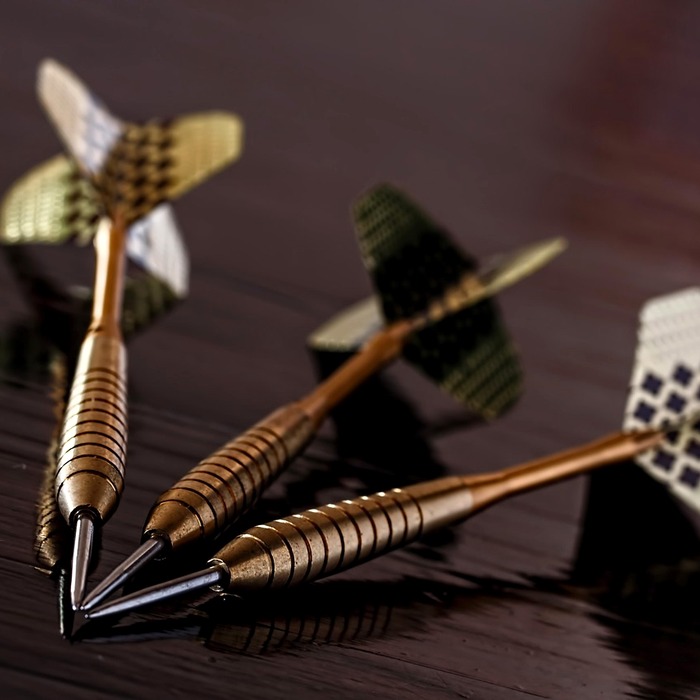 목표 지향적 행동