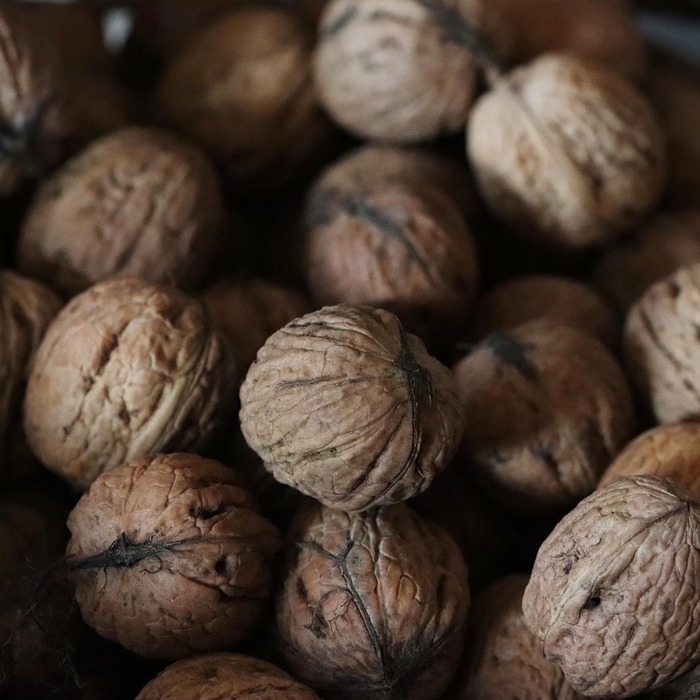 노화 방지 슈퍼푸드