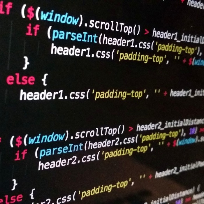 CSS 버튼 디자인