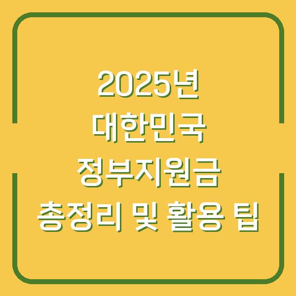 2025년 대한민국 정부지원금 총정리 및 활용 팁