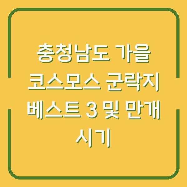 충청남도 가을 코스모스 군락지 베스트 3 및 만개 시기