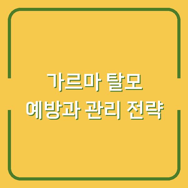 가르마 탈모 예방과 관리 전략