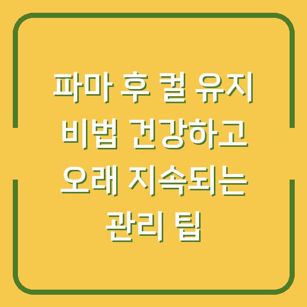 파마 후 컬 유지 비법 건강하고 오래 지속되는 관리 팁