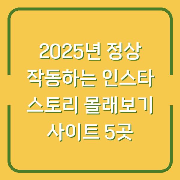2025년 정상 작동하는 인스타 스토리 몰래보기 사이트 5곳