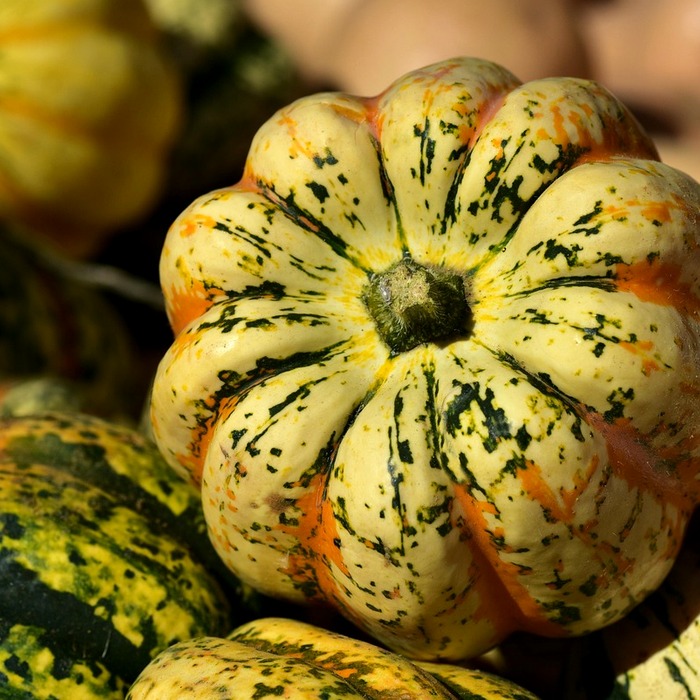 전자레인지 조리