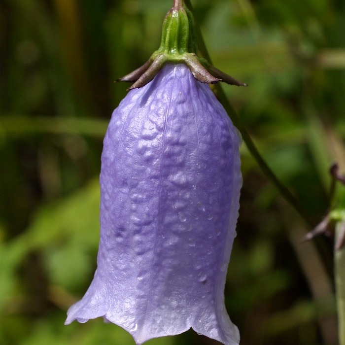 지리산 노고단 풍경