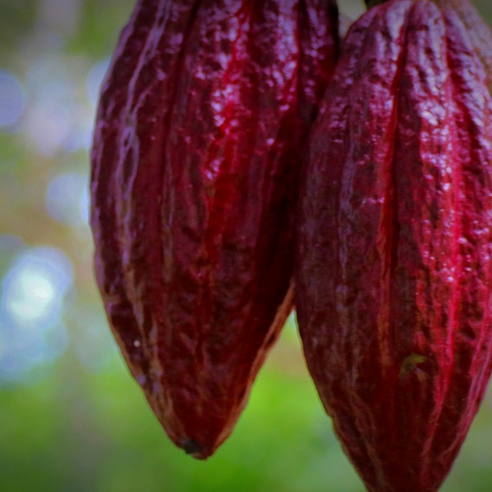 카카오뱅크 신용대출