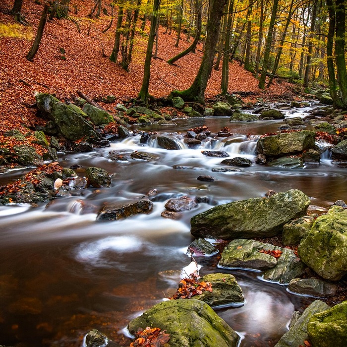 심정지 확인 과정