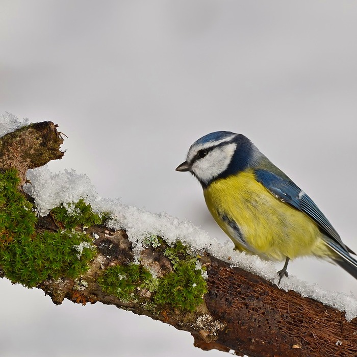 가슴 압박 요령