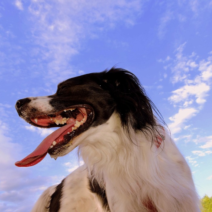 군침 도는 모습