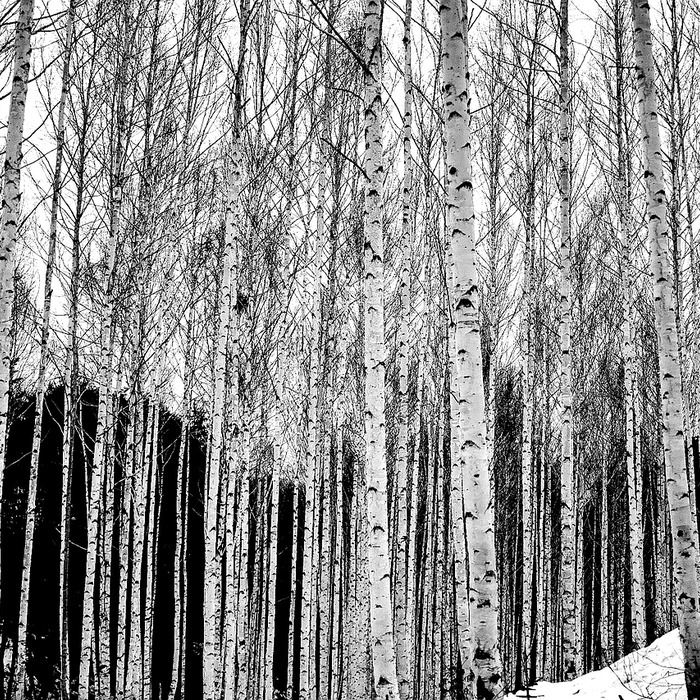 강원도 자연경관