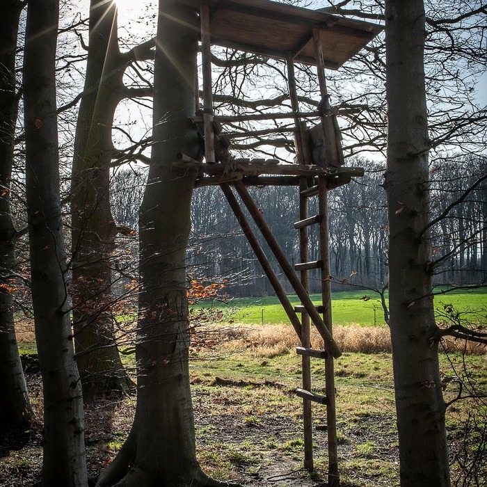 메이플스토리 사냥터