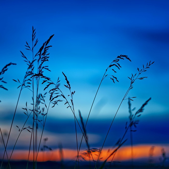 스몰웨딩 분위기