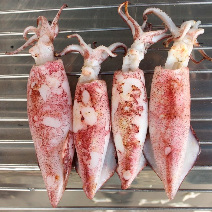 오징어게임 포토존