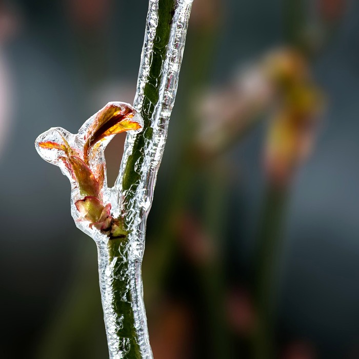 원격 연결 장점
