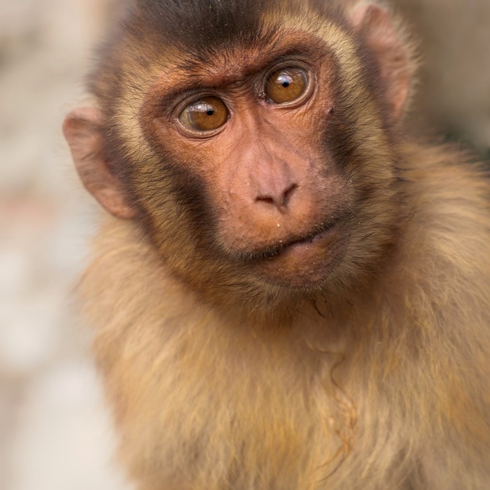 자소서 기본 원칙
