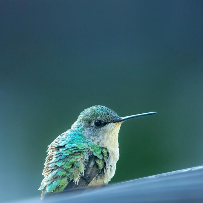 화면 깜빡임 원인