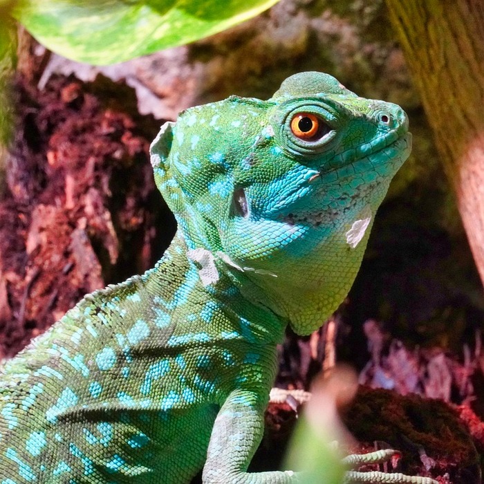 리스크 분산 효과