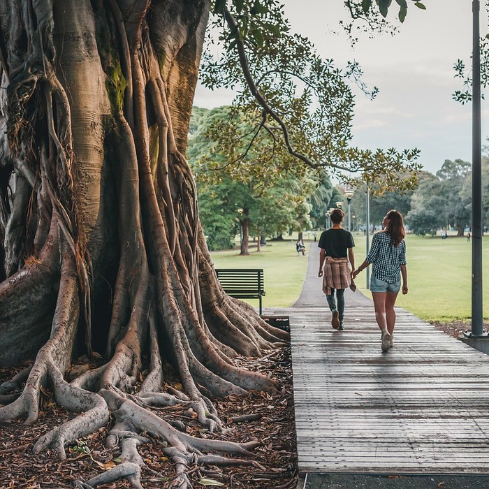 잔디 관리 기초
