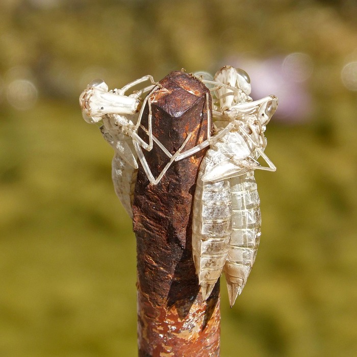 환절기 피부 변화