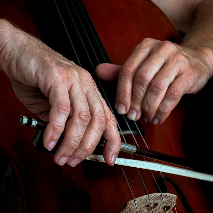 말없이 신고하기