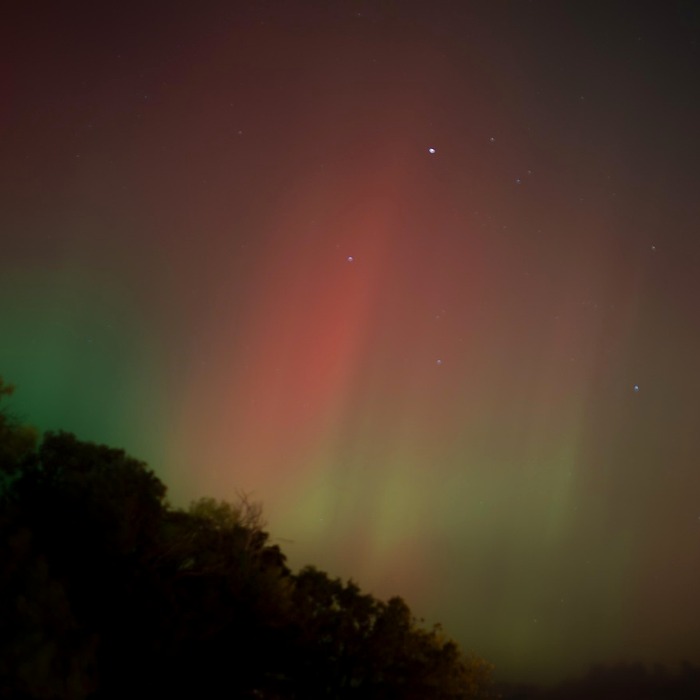 리스 차량 소유권