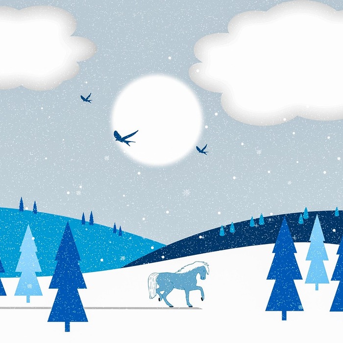 벡터 그래픽 특징