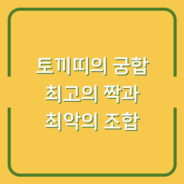 토끼띠의 궁합 최고의 짝과 최악의 조합