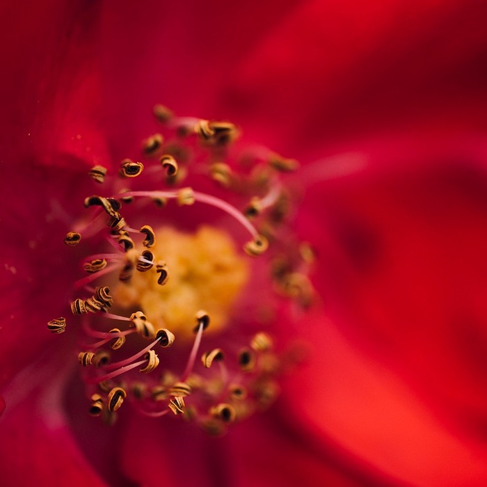 반월상연골파열 수술