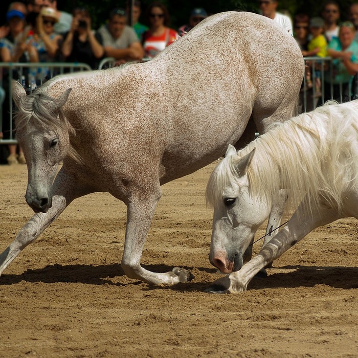 보험료 산정 기준
