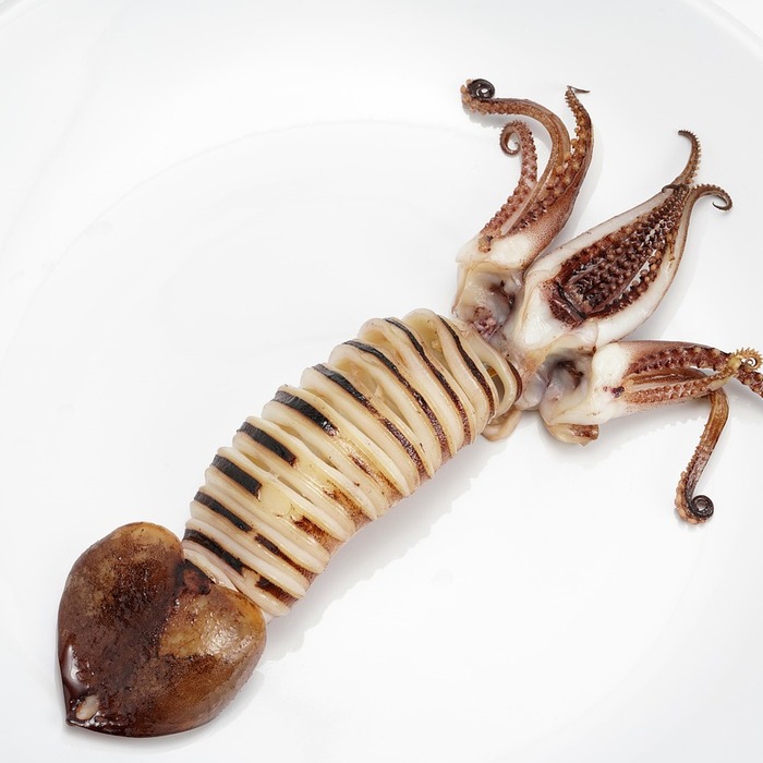 철판 오징어 부추전