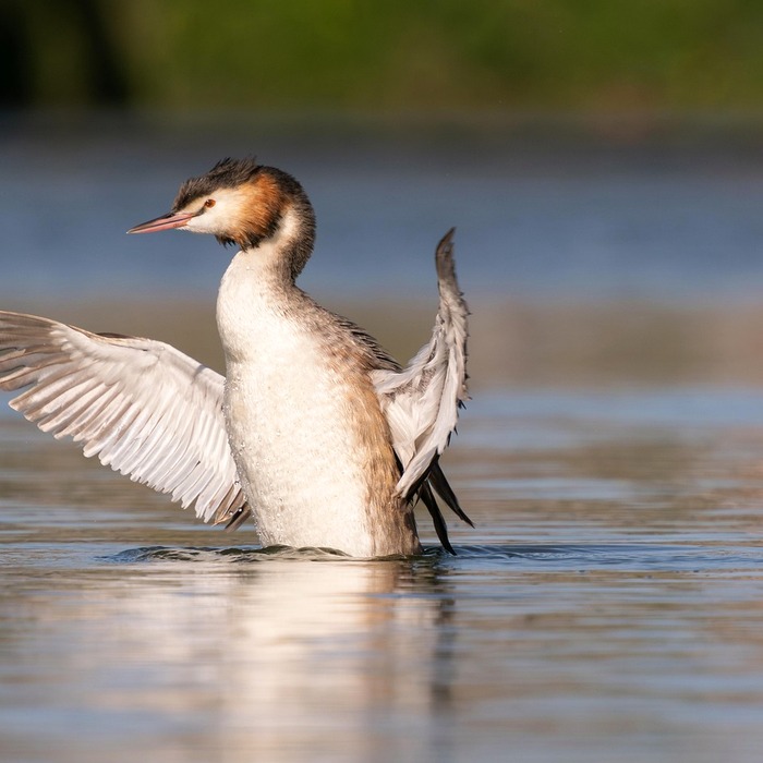 자연 생태계 관찰
