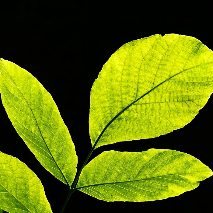 초록색 상태표시등