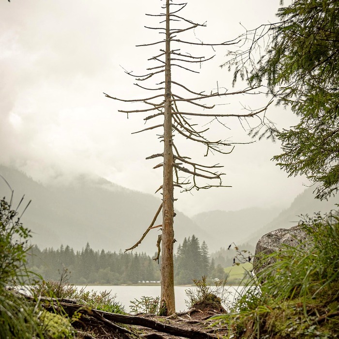 점포 철거 비용