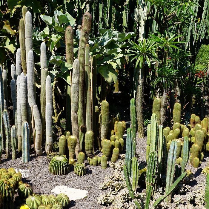 폐업 소상공인 재기