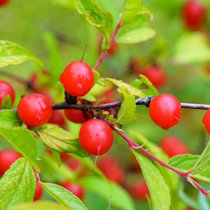 M 포인트 현금화