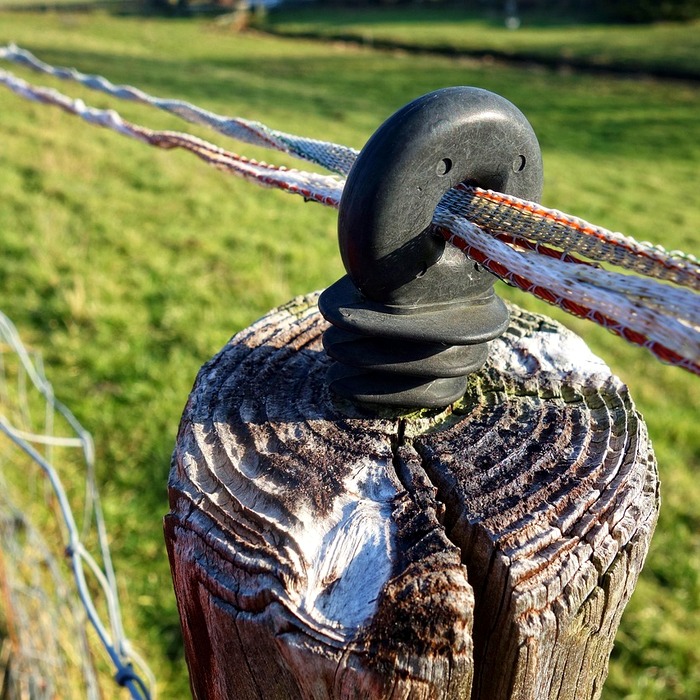 소상공인 전기 요금