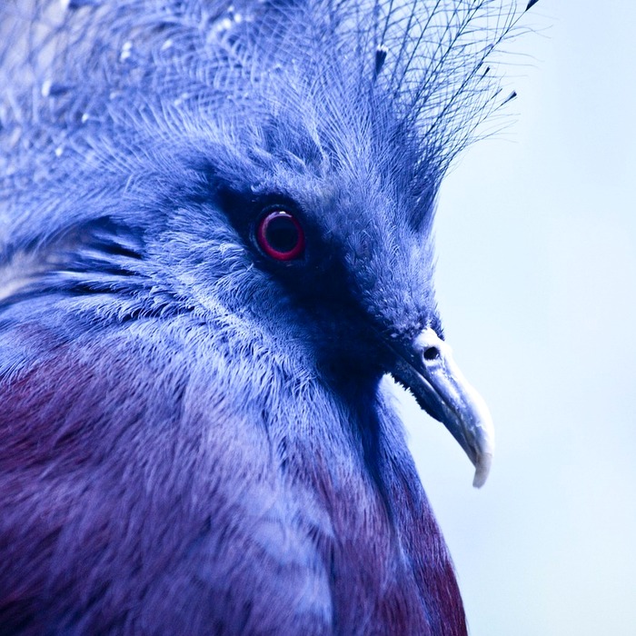 집진기 풍량 선정