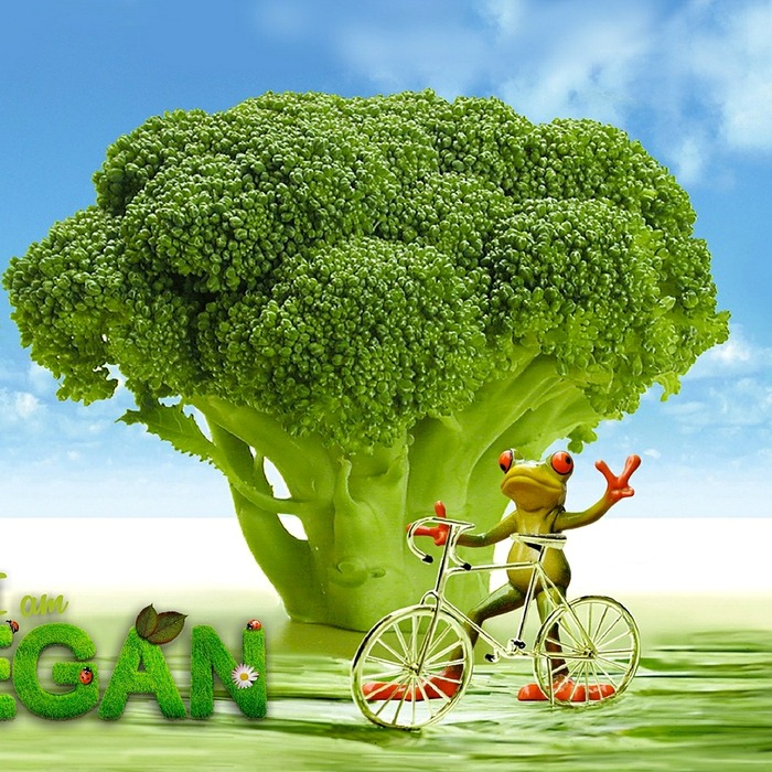 요리 재료 무게